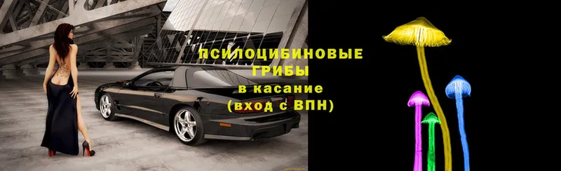 купить наркоту  Арск  MEGA как зайти  Галлюциногенные грибы ЛСД 